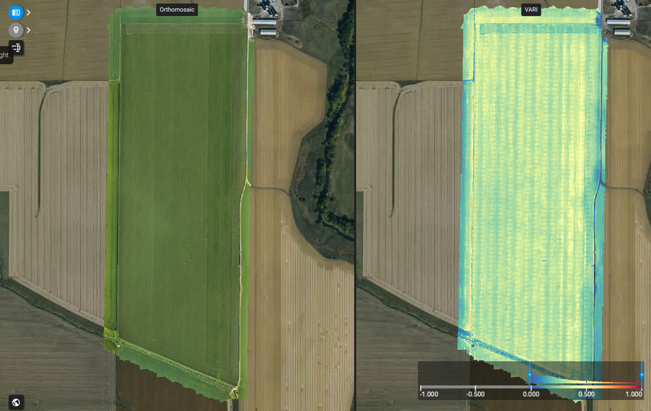 Side-by-side RGB orthomosaic and VARI vegetation index map of the same field